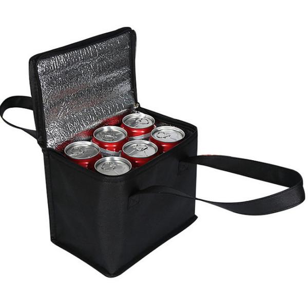 6-Pack Travel Cooler Bag